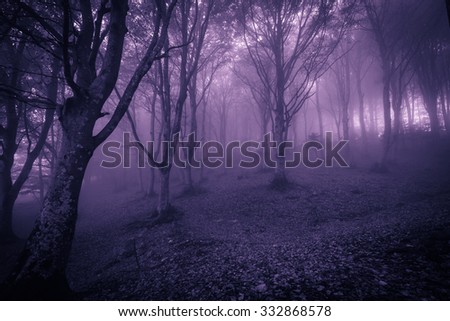 Spooky foggy forest at halloween night.