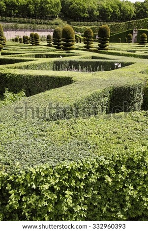 a view of a green labyrinth