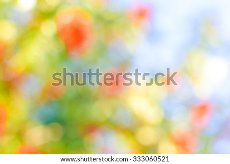 Picture of sunny summer blossom meadow. Red, green and blue colors in blurred bokeh floral background.