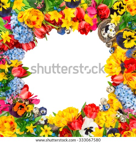 Colorful spring flowers. Tulips, narcissus, hyacinth and pansy blossoms