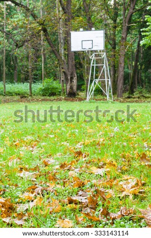 Blurred image of abandoned street basketball hoop with autumnal foreground, off season sport concept