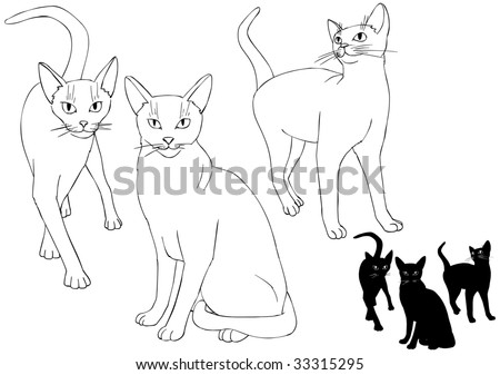 white and black cats vectorial illustration