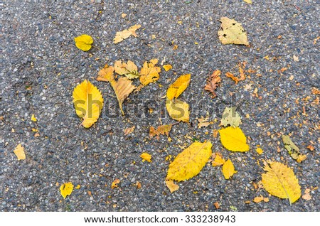 top view of a background of golden autumn leaves on a stone pavement