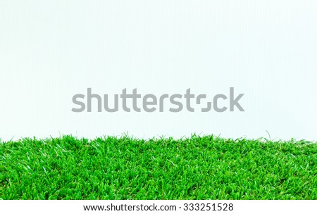 turf grass background