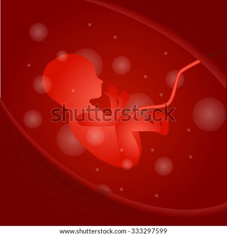 Fetus in womb 