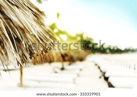 Closeup on the edge of sunshade from palm leaves, chairs for sunbathing behind, rays of sun, warm toning
