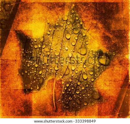 Autumn Leaf With Raindrops