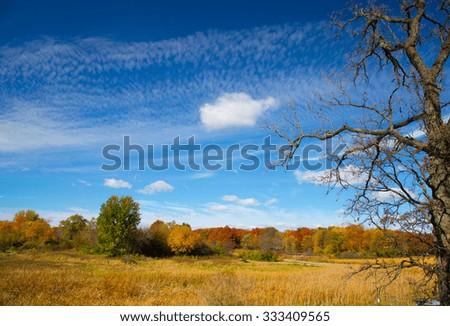 Nature landscape view surrounding by dried grass under blue sky with beautiful white clouds in autumn