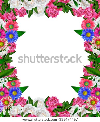 peony flowers isolated on white background