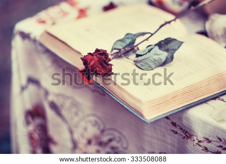Old book, and a dried red rose, vintage, loneliness, memories, romance, historical romance, closeup Royalty-Free Stock Photo #333508088