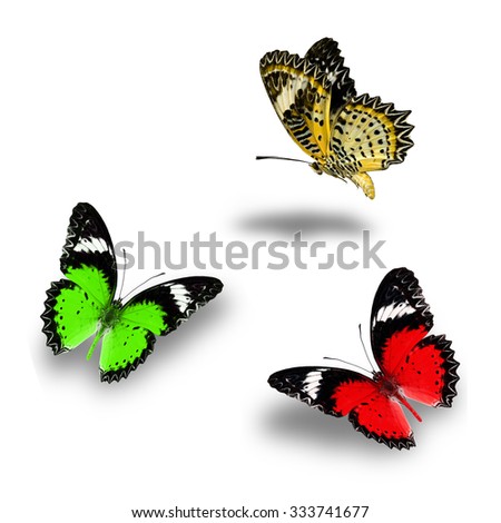 Beautiful Red, Green and yellow butterfly flying up