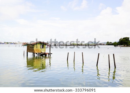 Old little Green house in green water at Songkhla Thailand.