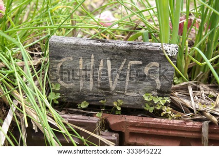 Rustic Herb markers, Chives