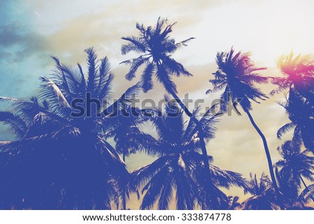 Tropical beach landscape with coconut palm trees at sunset. Paradise design banner background. Vintage effect.