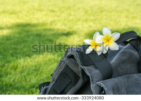 luggage and Plumeria flower on green grass floor, Bag pack travel,Tourism 