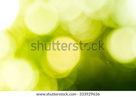 Bokeh light from the sun through the leaves.