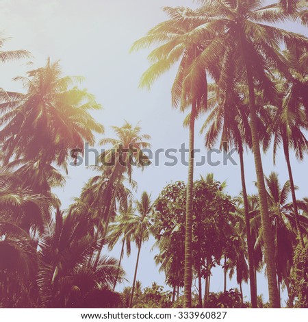 Tropical beach landscape with coconut palm trees at sunset. Paradise design banner background. Vintage effect. 