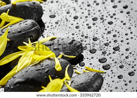 Stones with flower petals and drops of water
