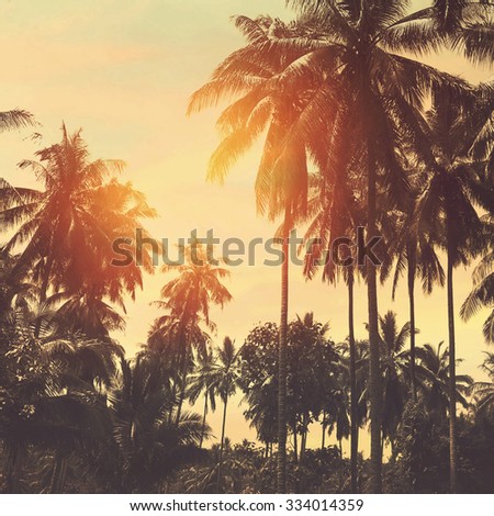 Tropical beach landscape with coconut palm trees at sunset. Paradise design banner background. Vintage effect. 