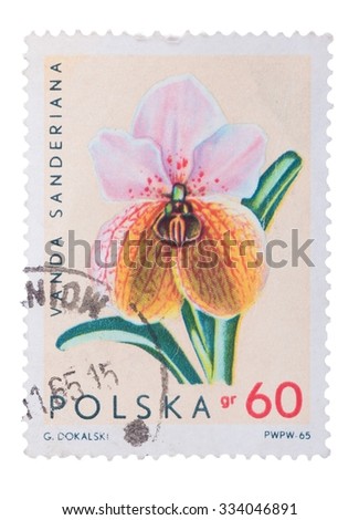 POLAND - CIRCA 1965: stamp printed in Poland, shows orchid Vanda Sanderiana, circa 1965