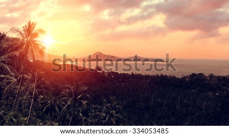 Tropical beach landscape with ocean and coconut palm tree plantation at sunset. Paradise design banner background. 