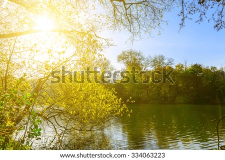 Lake Surrounded by Trees at Sunny Day in Autumn
