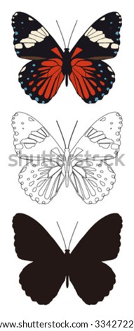 vector butterfly with white background.