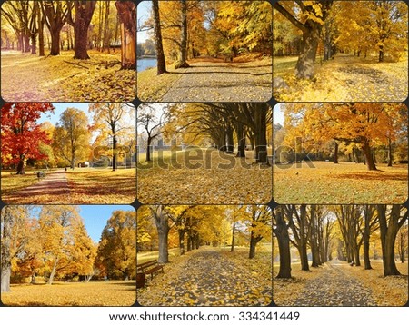 Autumn alley in the park - Autumn alley in the park - photo collage