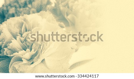 Carnations in vintage color style on mulberry paper texture