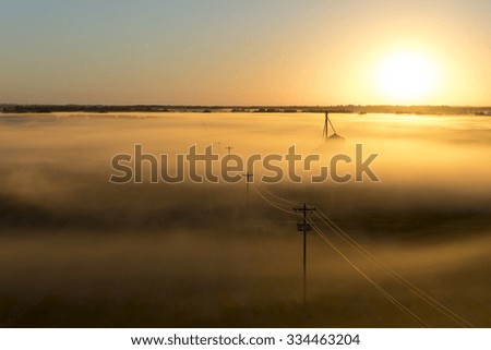 Telephone poles on a foggy misty morning at sunrise or sunset on a rural countryside farm