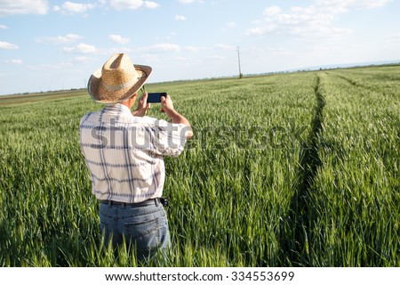 Farmer standing in a wheat field and taking picture of a field with phone