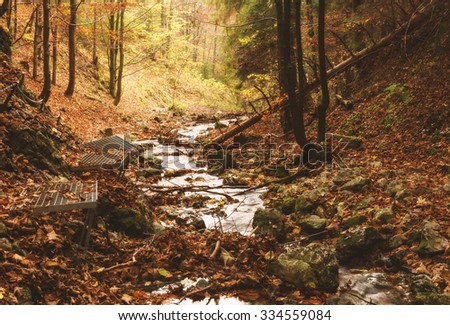 Zejmarska roklina - mysterious forest with stream, Narodny park Slovensky Raj (National park Slovak paradise), Slovakia, Eastern Europe