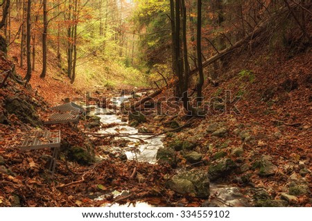 Zejmarska roklina - mystical forest with stream, Narodny park Slovensky Raj (National park Slovak paradise), Slovakia, Eastern Europe