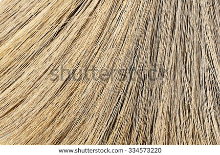 Broom grass abstract backgrounds textures