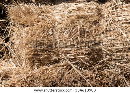 a stack of hay