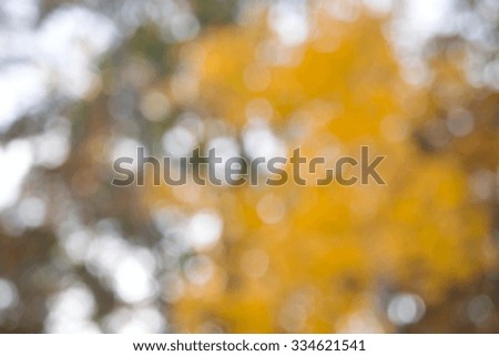 Bokeh effect on autumn colors