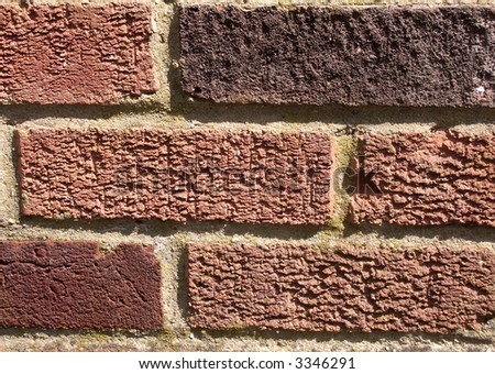 A close up photograph of a brick wall.