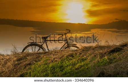 Bicycle at sunset in the park