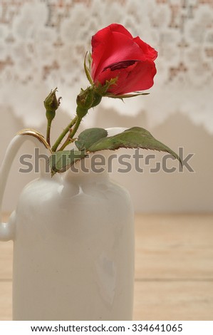 A single red rose in a white flower pot