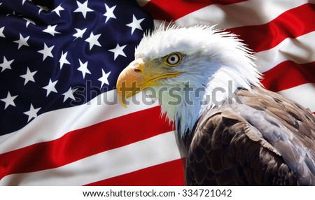 Background, wallpaper - North American Bald Eagle on american flag