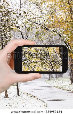 season concept - man taking photo of first snow on trees in city park on smartphone