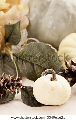 Beautiful textured table decor set with white pumpkins, hydrangeas and pine cones.