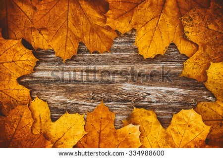 yellow maple  leaves on wooden desk. vintage  autumn background 