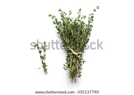 Fresh thyme isolated on white Royalty-Free Stock Photo #335137790