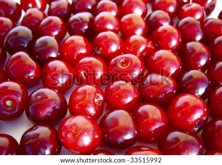 Many a ripe red cherry