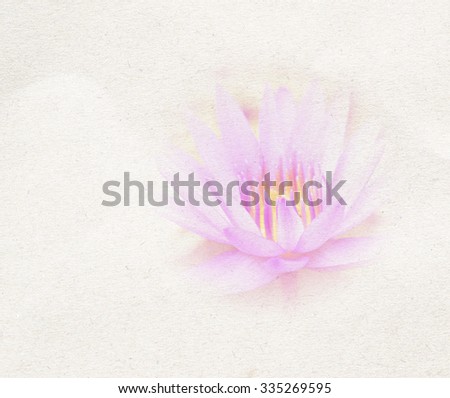 Beautiful sweet pink flower in soft focus style for flora background. Pastel color tone.