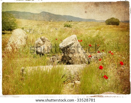 poppy flowers and old ruins - retro styled picture
