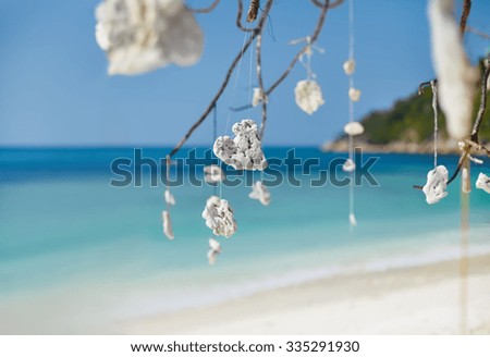 coral decoration on the tree on the beach. summer vacation