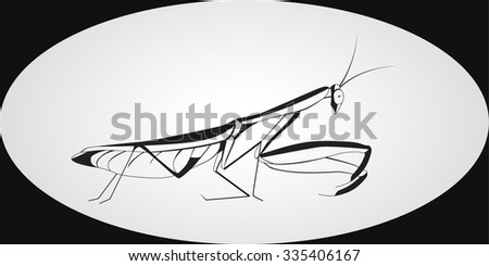 vector, stylized illustration of a praying mantis 