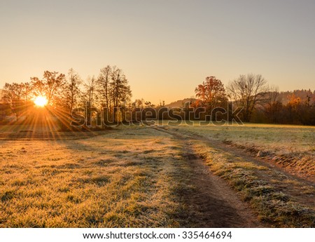 Sunrise in the field. Sun shining over an abandoned road in the meadow.